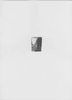 Songs for women and birds artwork