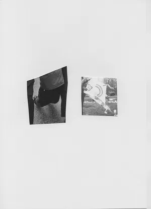 Songs for women and birds artwork