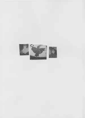 Songs for women and birds artwork
