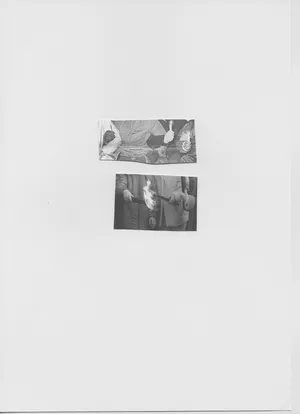 Songs for women and birds artwork