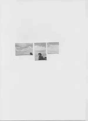 Songs for women and birds artwork