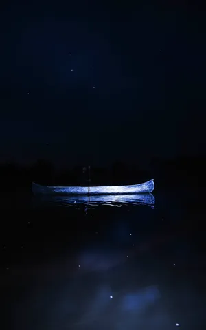 Songs in a strange land artwork