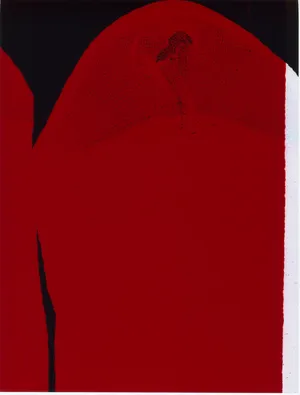Strip artwork