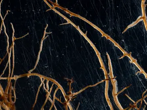 Meet the artists nominated by FOTODOK in 2024