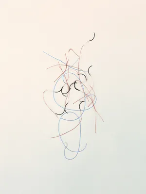 Supernature artwork