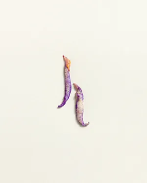 Supernature artwork