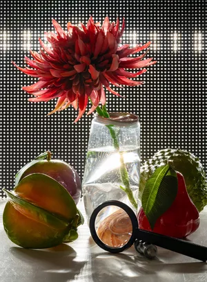 Sweet, Sweet Nectar artwork