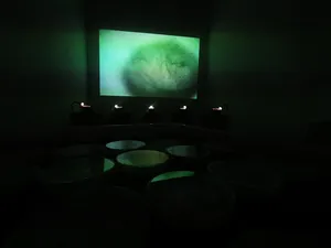 Symbiophone artwork
