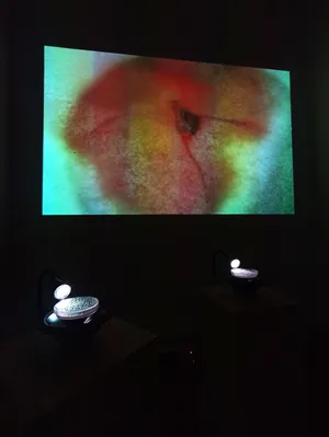 Symbiophone artwork