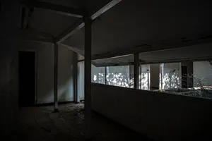 Tali Pusat artwork