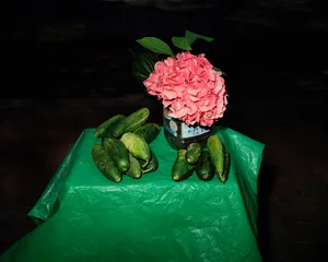 Tempora Morte artwork