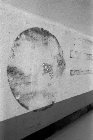 terceira pálpebra artwork