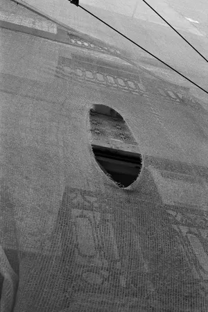 terceira pálpebra artwork