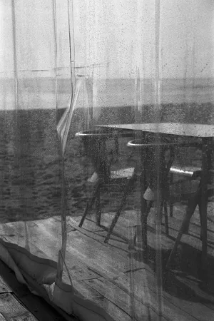 terceira pálpebra artwork