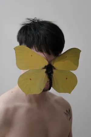 That time I wished I was a white butterfly artwork