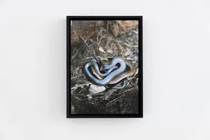 The (ab)Use of Beauty, Chapter One artwork