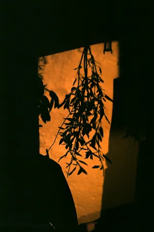 The (ab)Use of Beauty, Chapter One artwork
