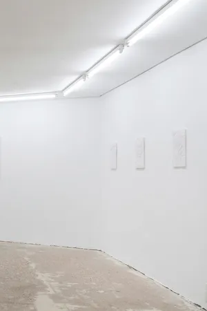 the body is a practice artwork