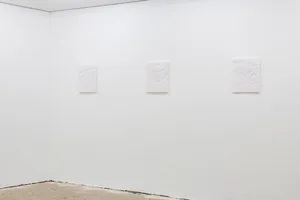 the body is a practice