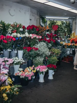 The Business of Love artwork
