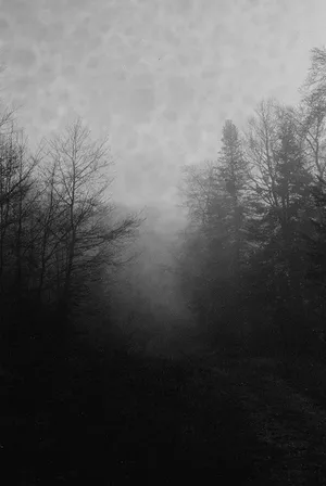 THE DARKNESS BEFORE THE DAWN artwork