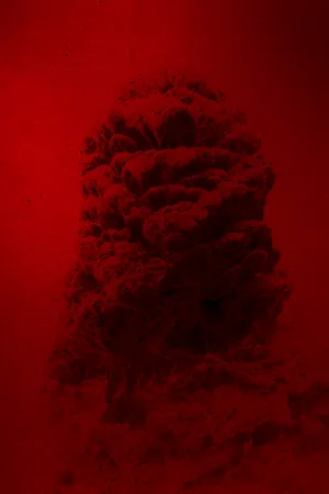 THE DARKNESS BEFORE THE DAWN artwork
