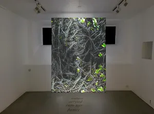 THE DOPPELGÄNGER SERIES – Mourning mirror for what is being lost artwork
