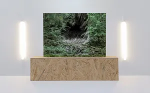 THE DOPPELGÄNGER SERIES – Mourning mirror for what is being lost artwork