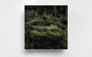 THE DOPPELGÄNGER SERIES – Mourning mirror for what is being lost artwork