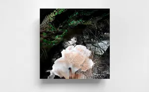 THE DOPPELGÄNGER SERIES – Mourning mirror for what is being lost artwork