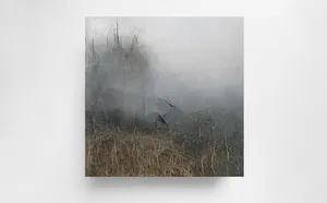 THE DOPPELGÄNGER SERIES – Mourning mirror for what is being lost artwork