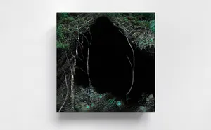 THE DOPPELGÄNGER SERIES – Mourning mirror for what is being lost artwork