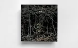THE DOPPELGÄNGER SERIES – Mourning mirror for what is being lost artwork
