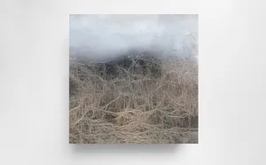 THE DOPPELGÄNGER SERIES – Mourning mirror for what is being lost artwork