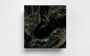 THE DOPPELGÄNGER SERIES – Mourning mirror for what is being lost artwork