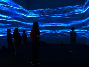 The Flood artwork