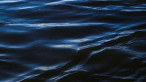 The Flood artwork