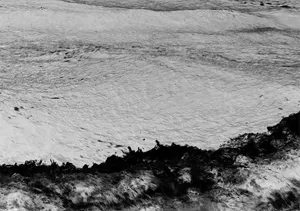 The Flood artwork