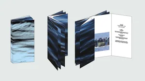 The Flood artwork