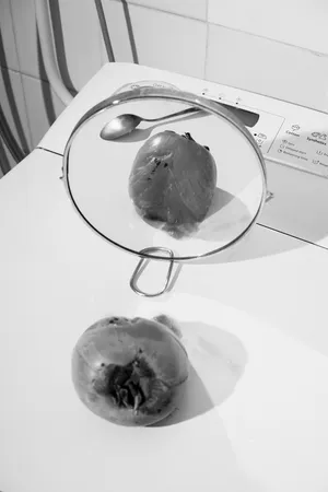 The fossils, the ashes and other remains of existence artwork