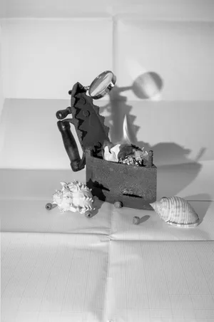 The fossils, the ashes and other remains of existence artwork