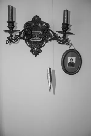 The fossils, the ashes and other remains of existence artwork
