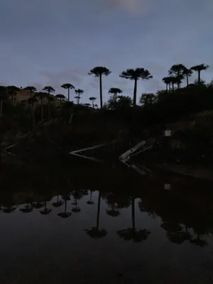 THE LAKE IS YOUR COUSIN, THE STREAM IS YOUR SISTER, THE POND IS HER CHILD artwork