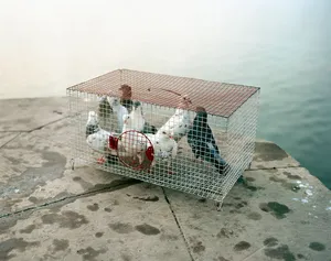 THE NATURE OF THINGS artwork