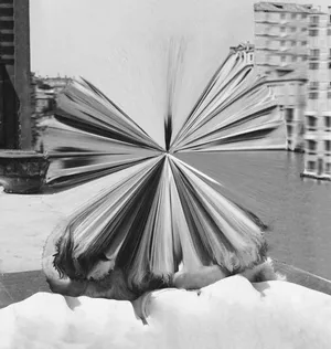 The New York Public Library Picture Collection artwork