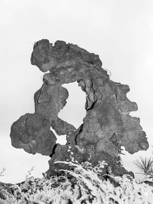 The Ontologies of Space: Case Studies of Jeju - Jenny Smets in conversation with Michał Sita and Anna Pilawska-Sita