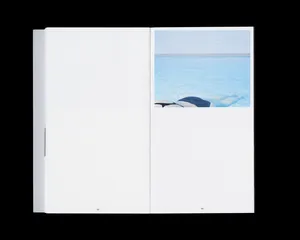 The Perfect Crime: Concerning the Murder of Reality artwork