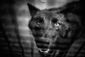 The Silence of the Beasts with Eleni Onasoglou