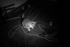 The Tenant artwork