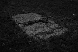 The Territory artwork